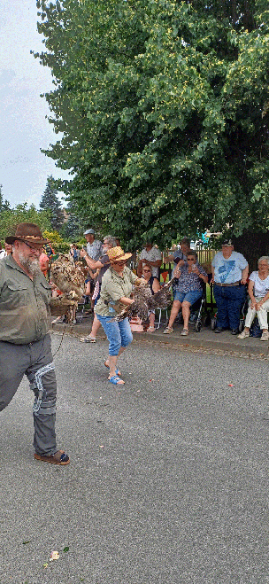 Greifvogelwarte Oberlausitz - Lawalde -  http://greifvogelwarte-oberlausitz.de/kontakt/