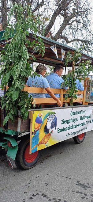 Oberlausitzer Ziergeflügel-, Waldvögel- und Exotenzüchterverein e.V.