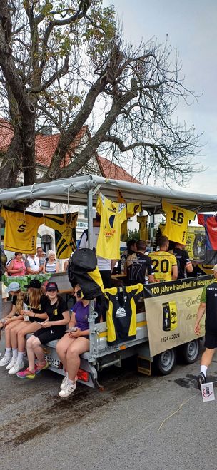 100 Jahre Handvall in Neugersdorf - TSV Turn -und Ballspielverein Neugersdorf e.V.