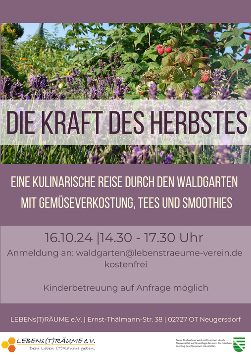 die-kraft-des-herbstes