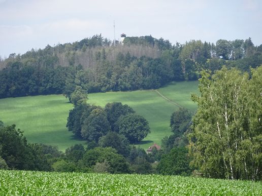 Blick zum Bieleboh